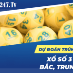 Dự đoán trúng thưởng 3mien 247 chính xác miễn phí