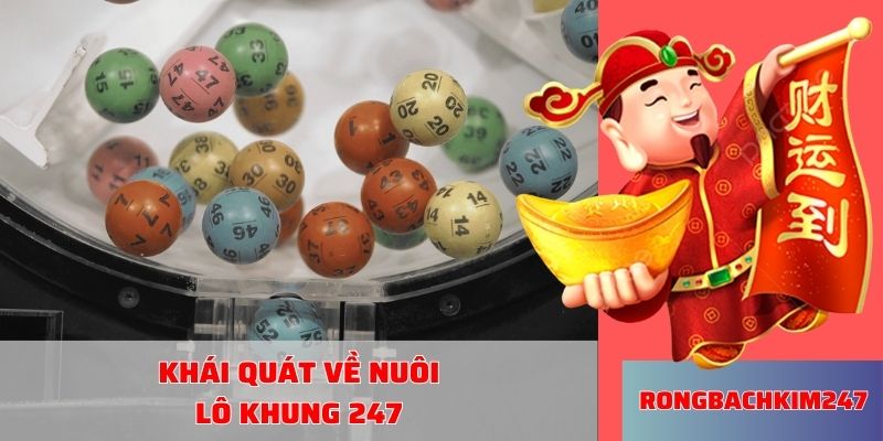 Bí kíp chia tiền nuôi lô khung 247 đơn giản, chuẩn xác nhất