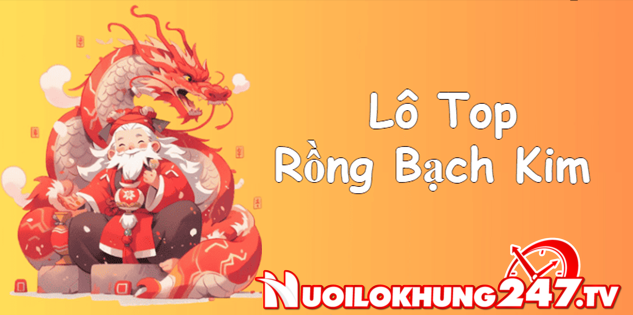 Lô top Rồng Bạch Kim – Thống kê Lô top 247 miền Bắc hôm nay