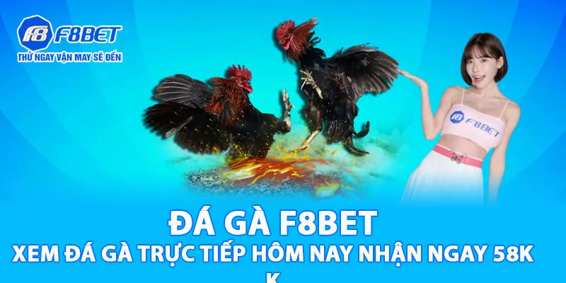 Đá Gà F8BET | Xem Đá Gà Trực Tiếp Hôm Nay Nhận Ngay 58K