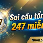 Soi cầu tổng hợp 247 miễn phí chuẩn xác nhất