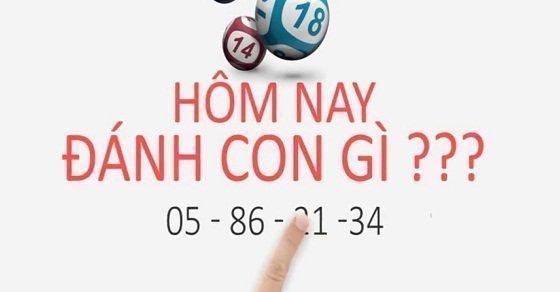 Hôm nay đánh con gì Hôm nay đánh de con gì chính xác 100