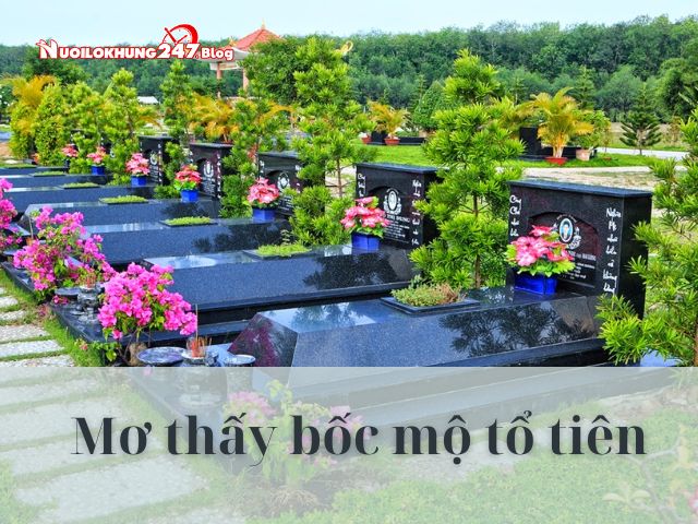 Mơ bốc mộ