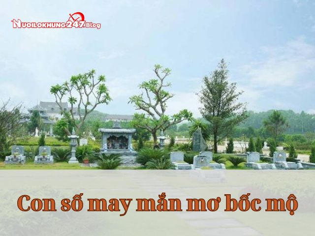 Mơ bốc mộ