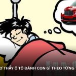 Mơ thấy ô tô đánh con gì để nắm bắt vận may hôm nay