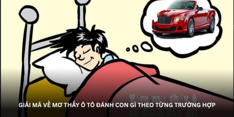 Mơ thấy ô tô đánh con gì để nắm bắt vận may hôm nay